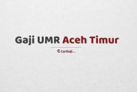 Gaji UMR Aceh Timur