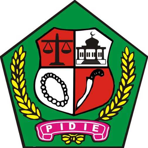 Logo Pidie