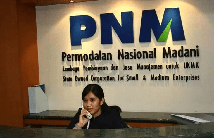 Profil PT PNM Persero