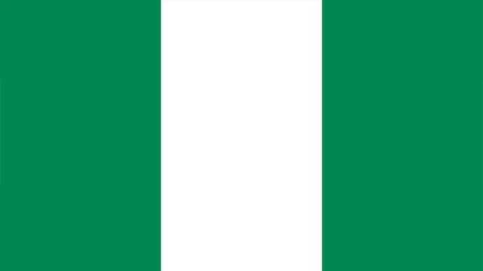 Gaji TKI di Nigeria
