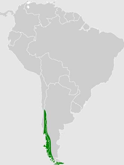 Peta Chili