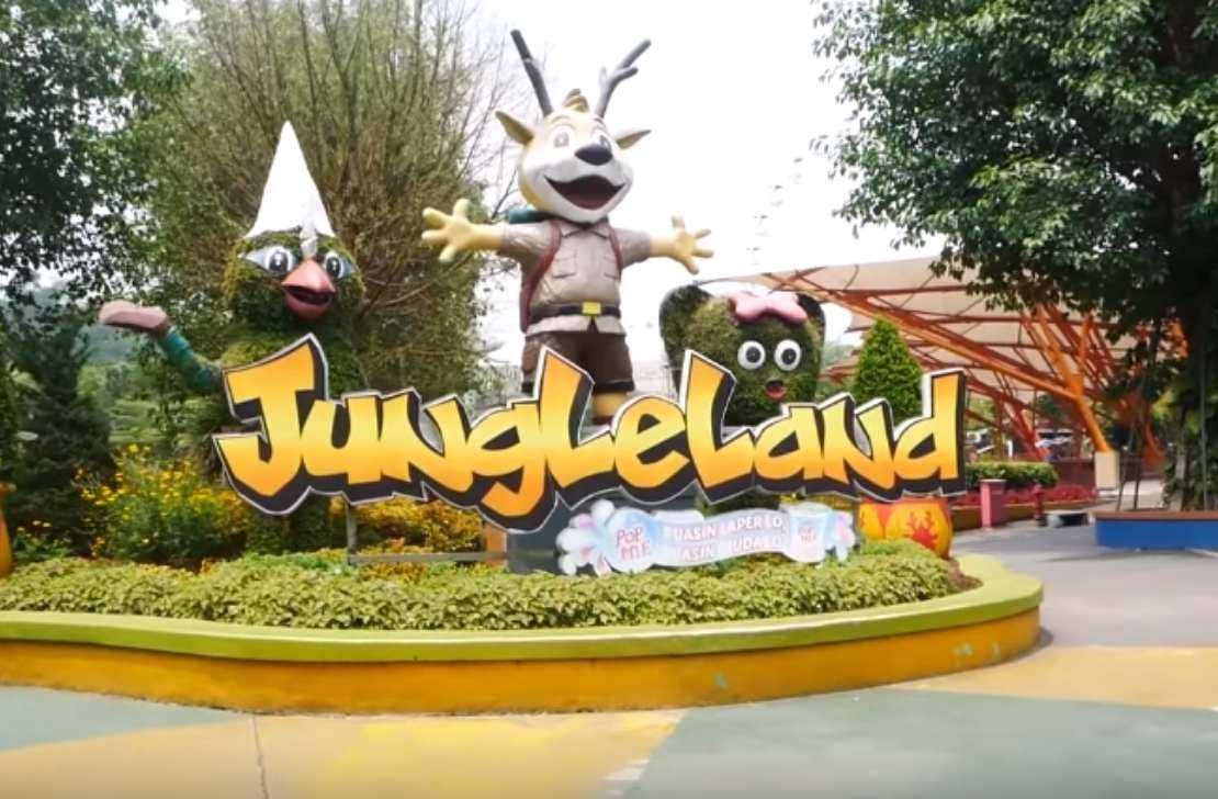 Jungle land