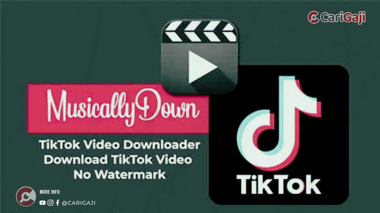 Fitur MusicallyDown Mp3 Download Video TikTok